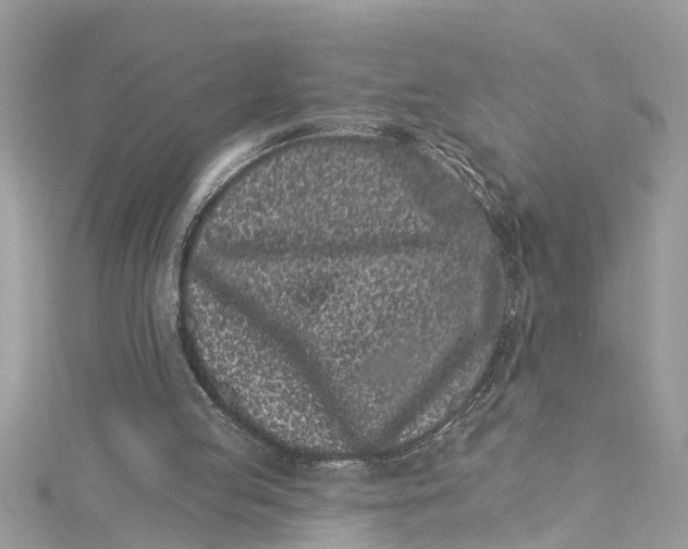 X0000115160053200911171310