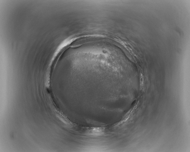 X0000115160056200911171310