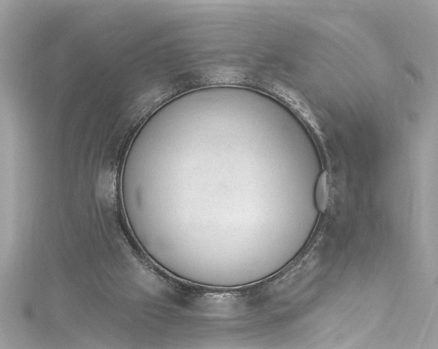 X0000115160057200911171310