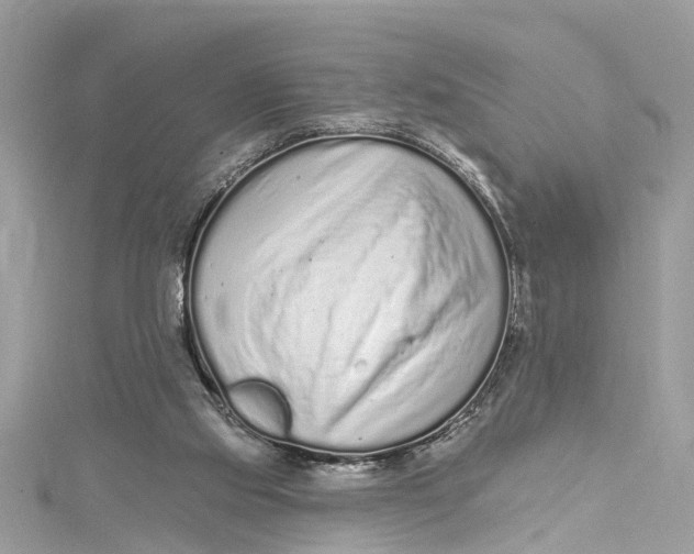 X0000115160061200911171310