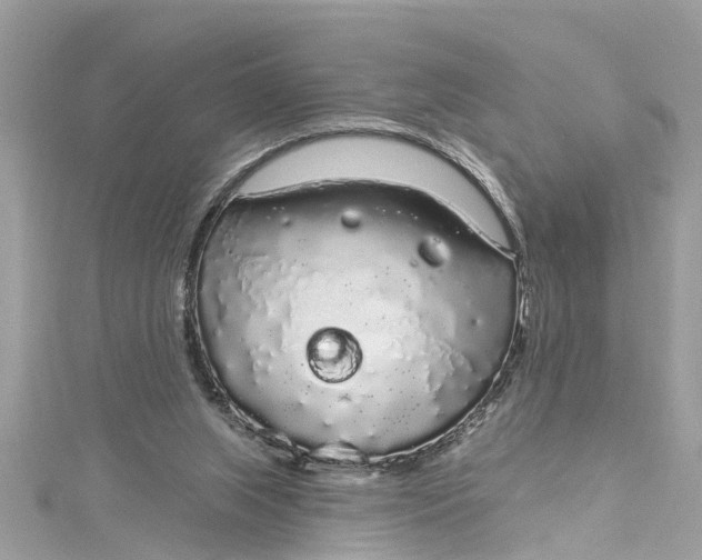 X0000115160063200911171310