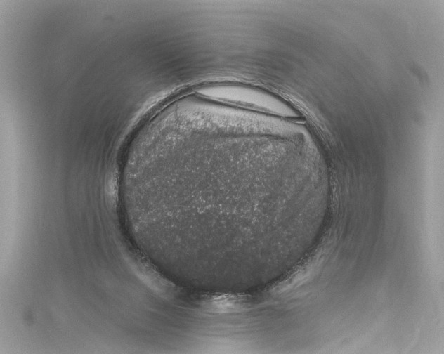 X0000115160064200911171310