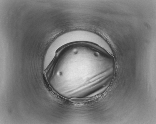 X0000115160066200911171310