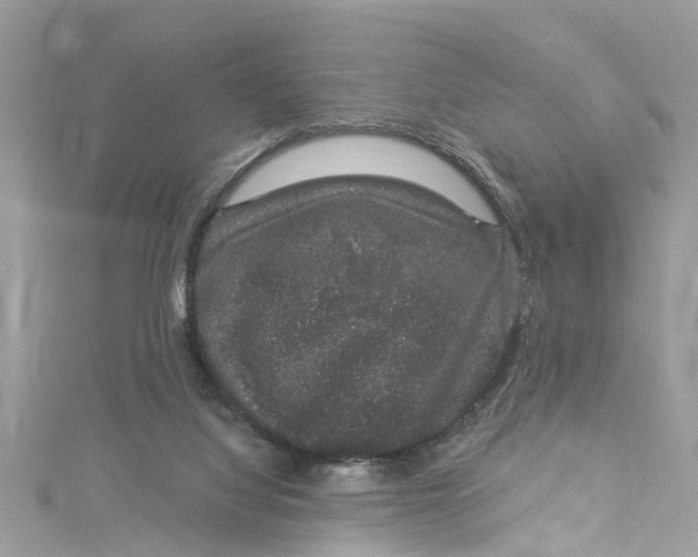 X0000115160068200911171310