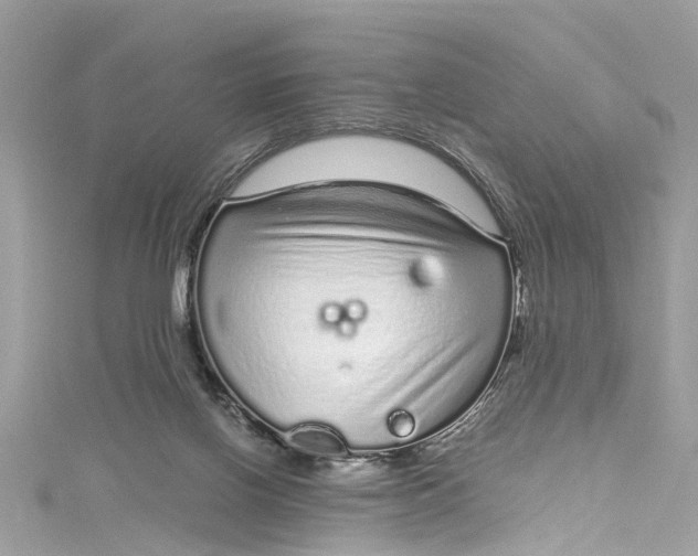 X0000115160070200911171310