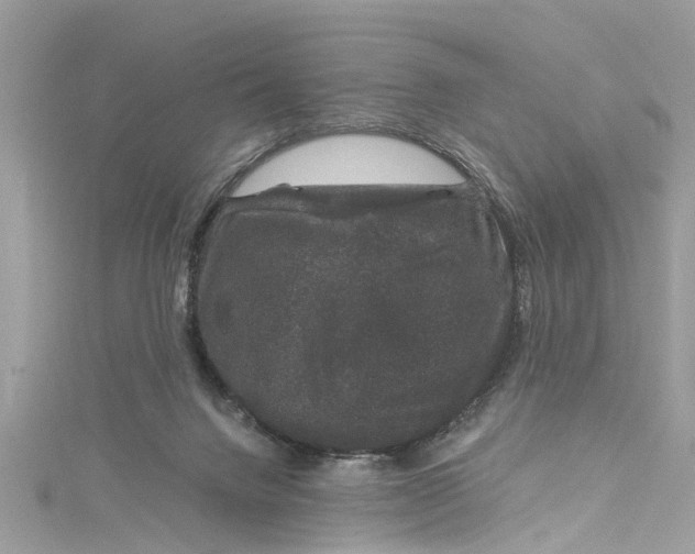 X0000115160072200911171310