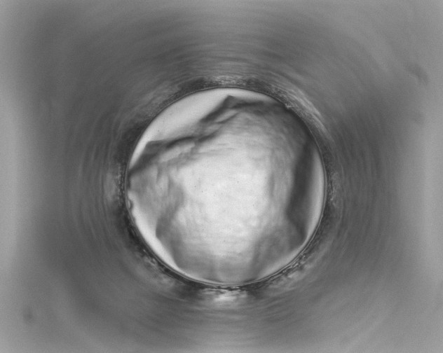 X0000115160073200911171310