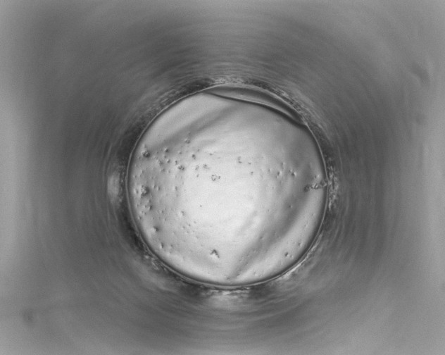 X0000115160074200911171310