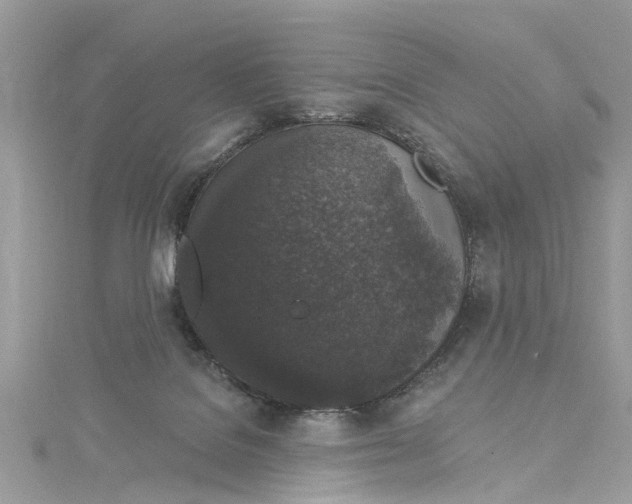 X0000115160076200911171310