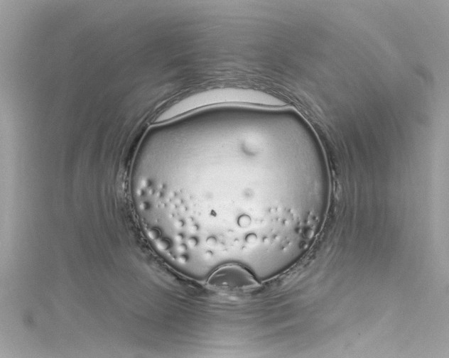 X0000115160081200911171310