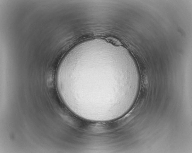 X0000115160082200911171310