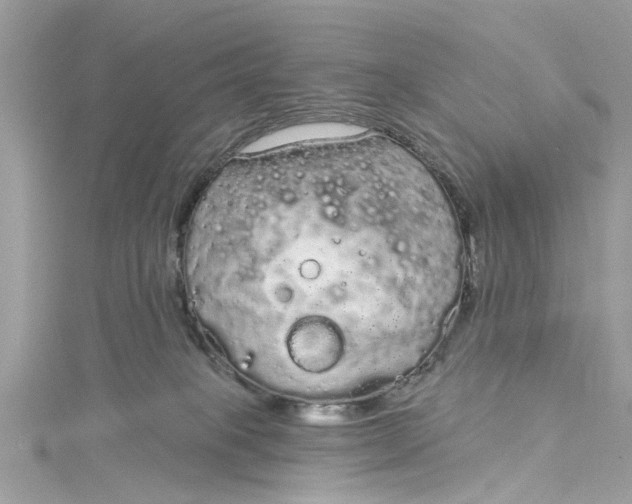 X0000115160085200911171310