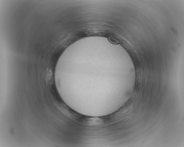 X0000115160087200911171310