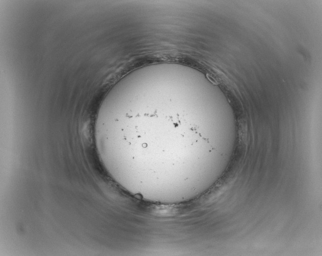 X0000115160088200911171310