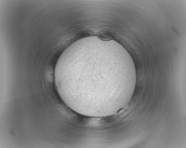 X0000115160090200911171310