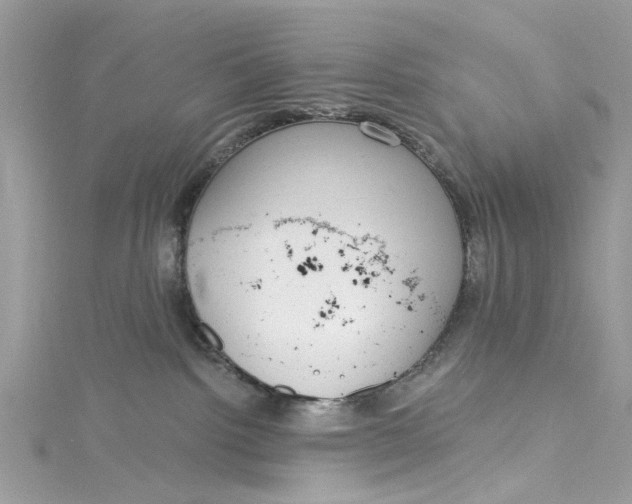 X0000115160092200911171310