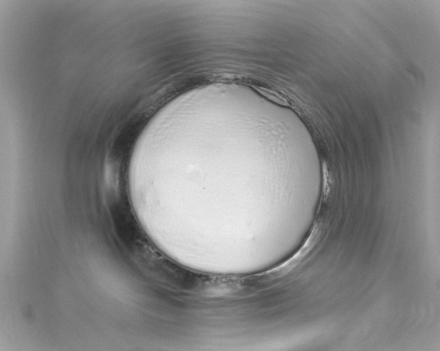 X0000115160094200911171310