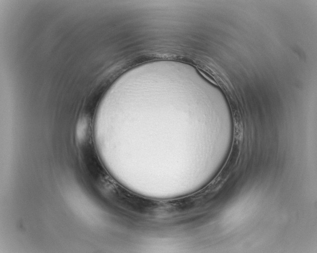 X0000115160095200911171310