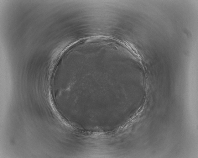 X0000115160097200911171310