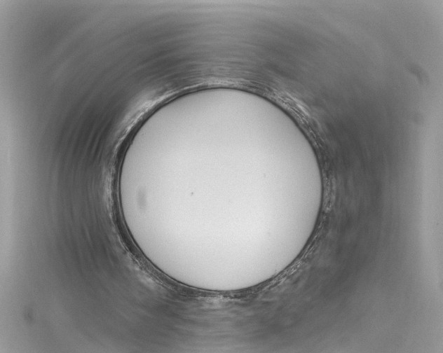 X0000115160098200911171310