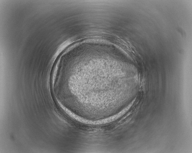 X0000115160099200911171310