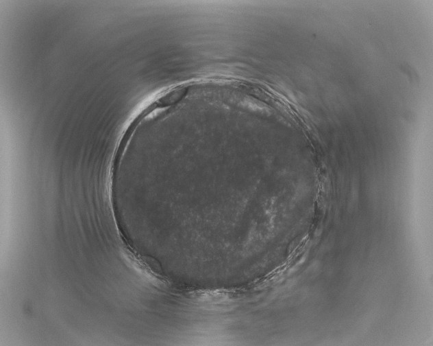 X0000115160100200911171310