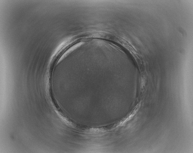 X0000115160101200911171310