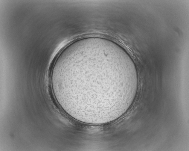 X0000115160102200911171310