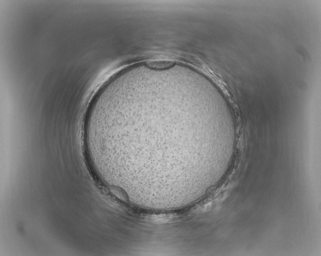 X0000115160103200911171310