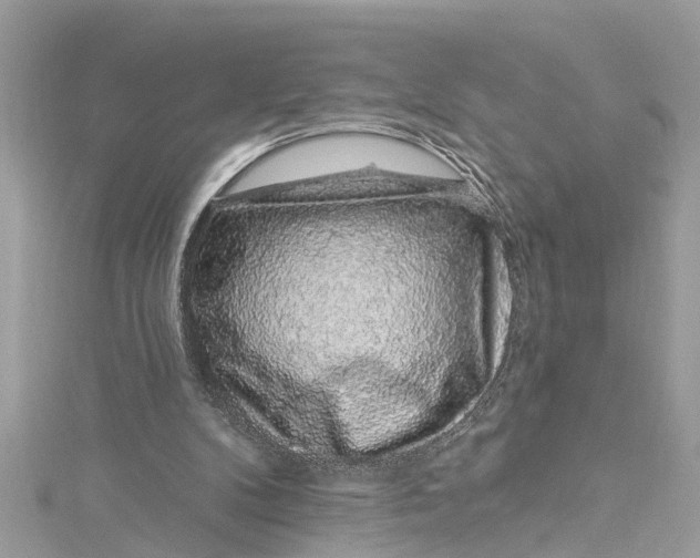 X0000115160104200911171310