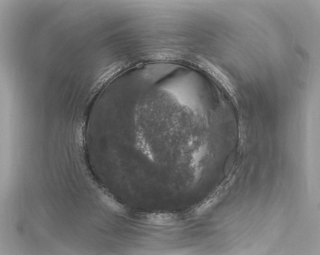 X0000115160105200911171310