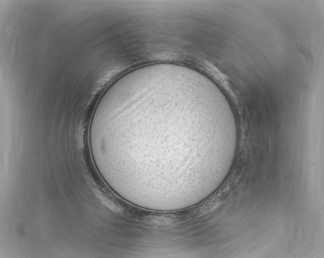 X0000115160106200911171309