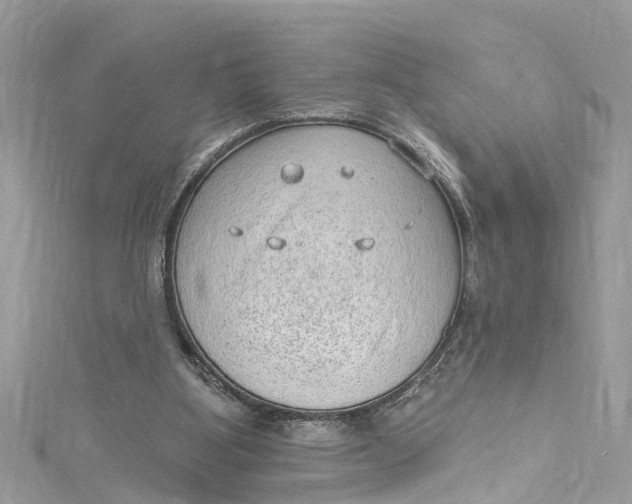 X0000115160107200911171309