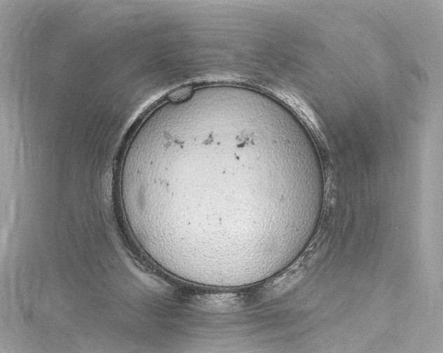 X0000115160108200911171309