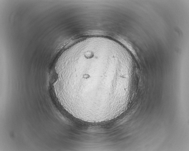 X0000115160109200911171309