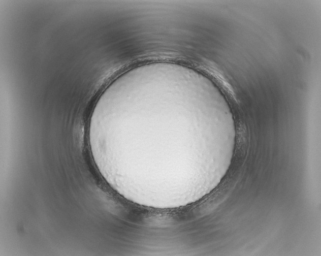 X0000115160110200911171309