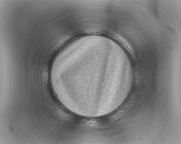 X0000115160113200911171309