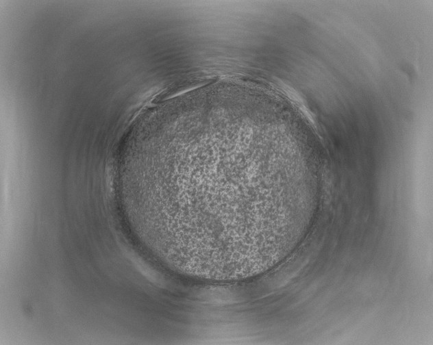 X0000115160114200911171309