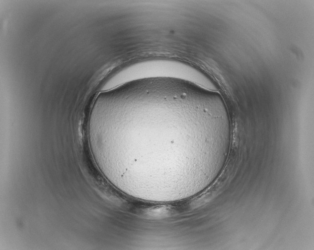 X0000115160116200911171309