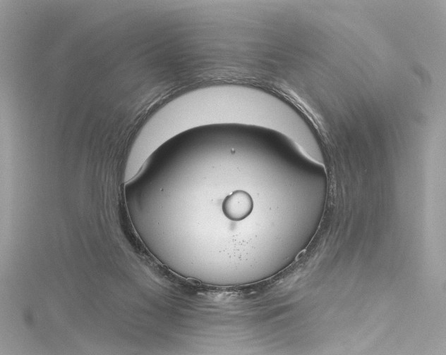 X0000115160117200911171309