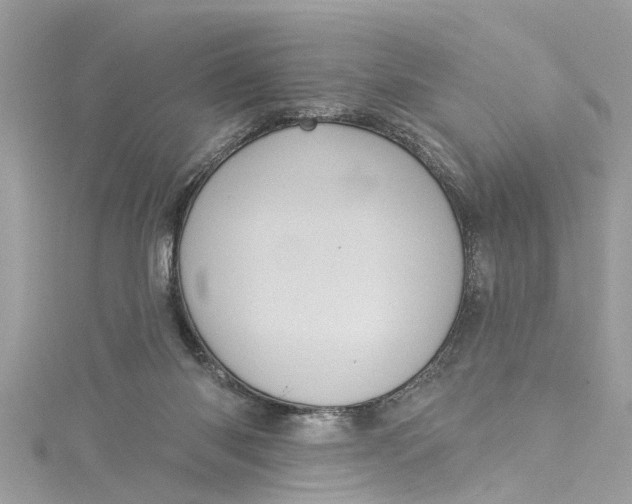 X0000115160118200911171309