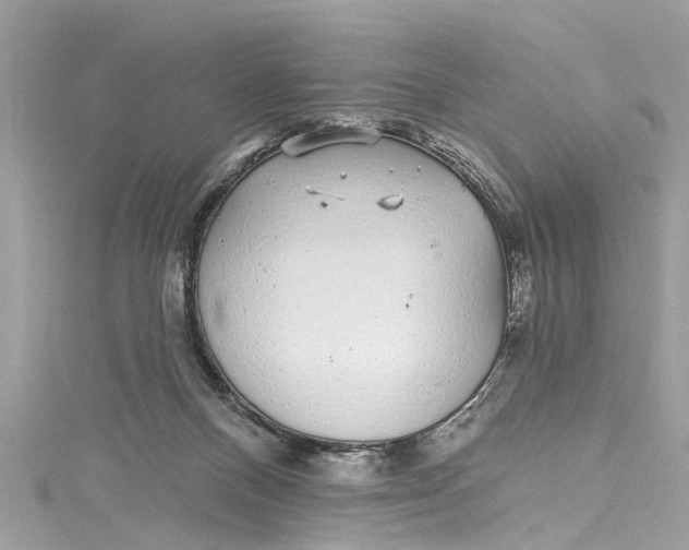 X0000115160120200911171309