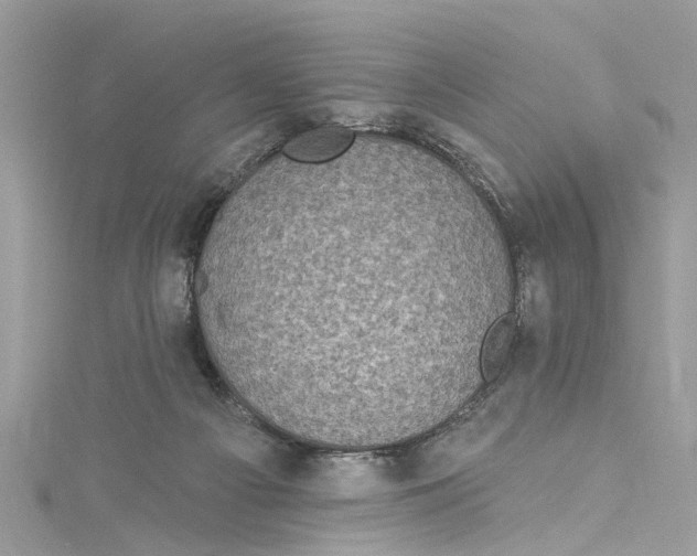 X0000115160121200911171309