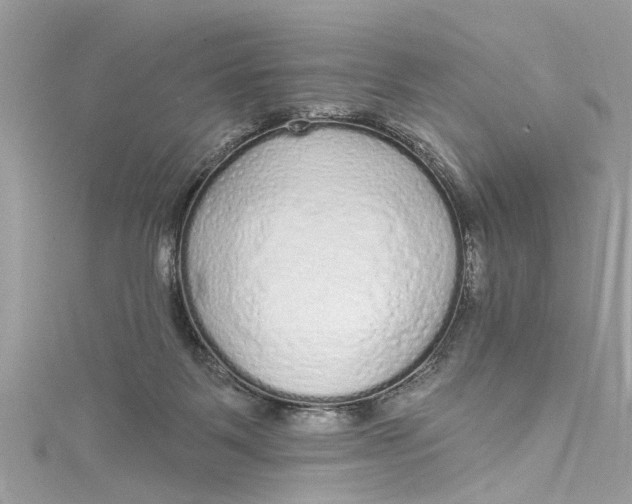 X0000115160123200911171309