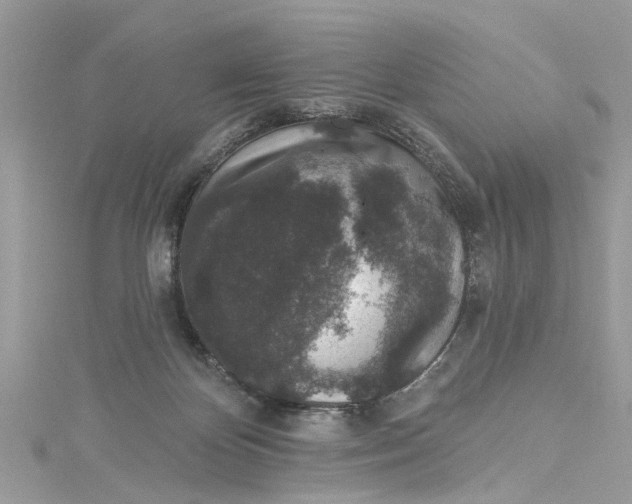 X0000115160124200911171309