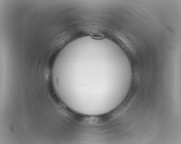 X0000115160125200911171309