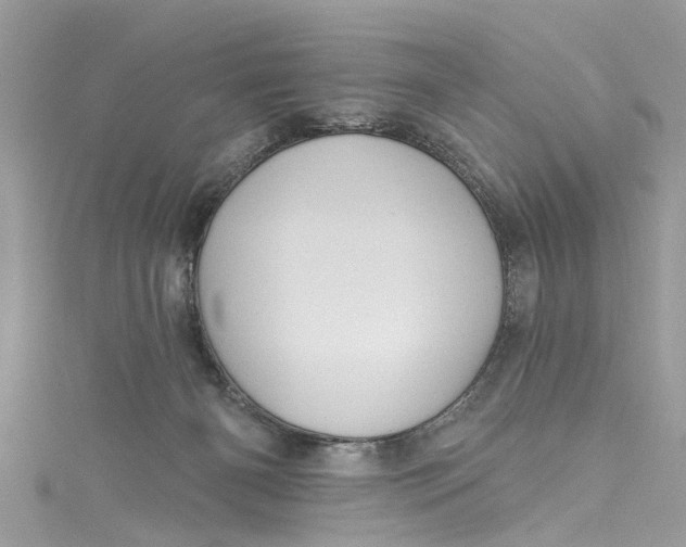 X0000115160126200911171309