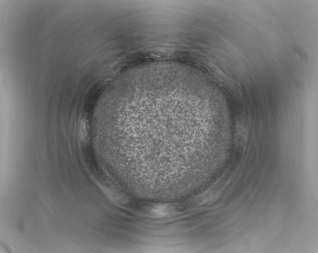 X0000115160130200911171309