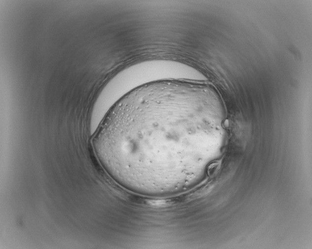 X0000115160131200911171309