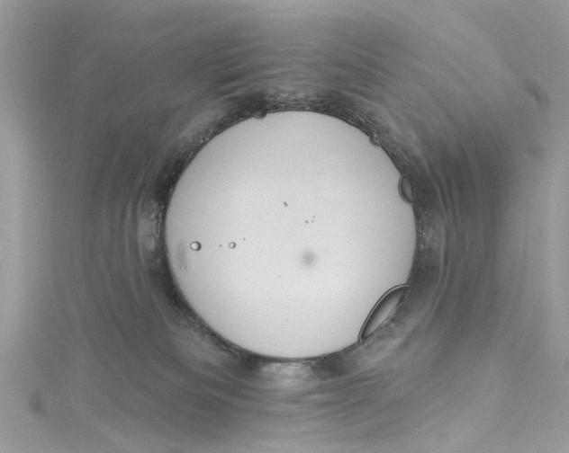 X0000115160133200911171309